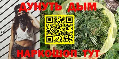 прущая мука Будённовск