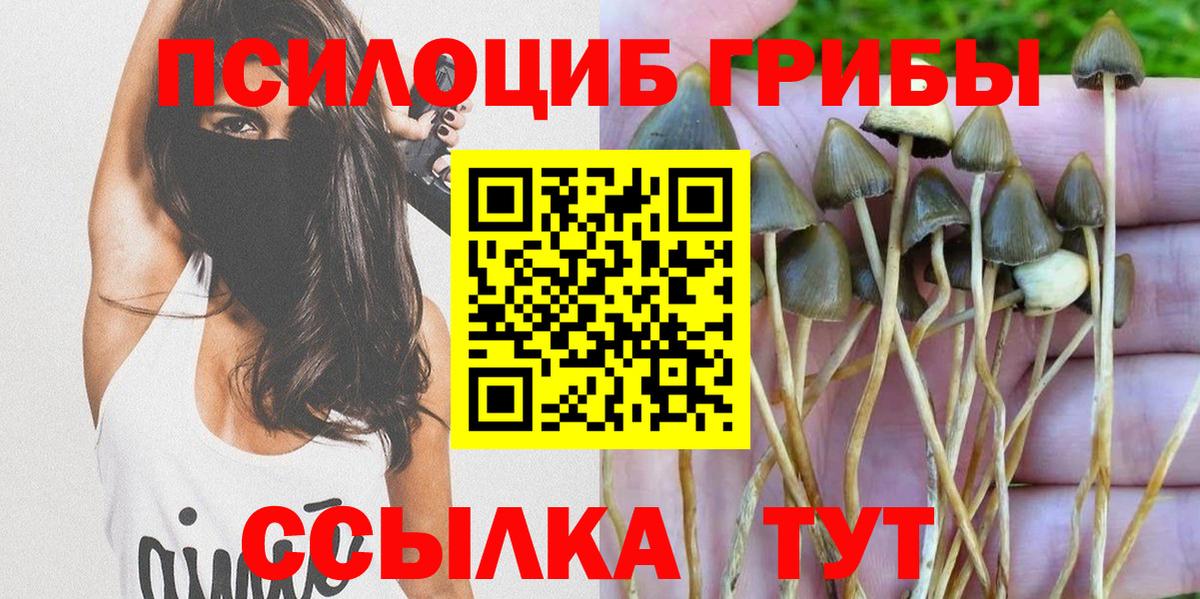 Галлюциногенные грибы Cubensis Новоалтайск