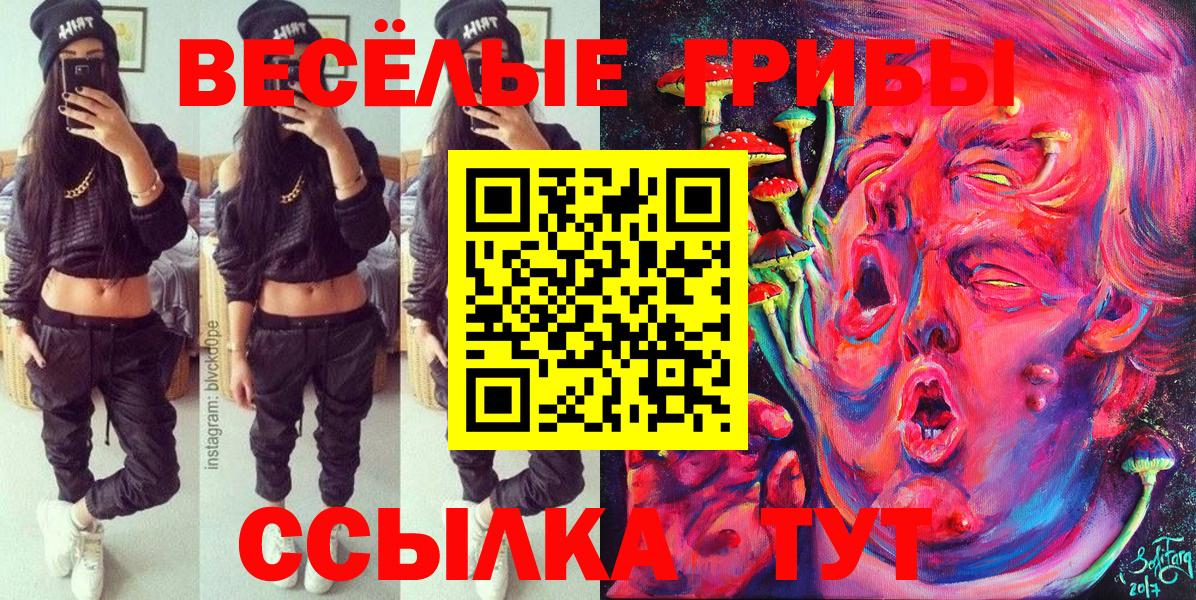 Новоалтайск  Псилоцибиновые грибы ЛСД  Вход с VPN 